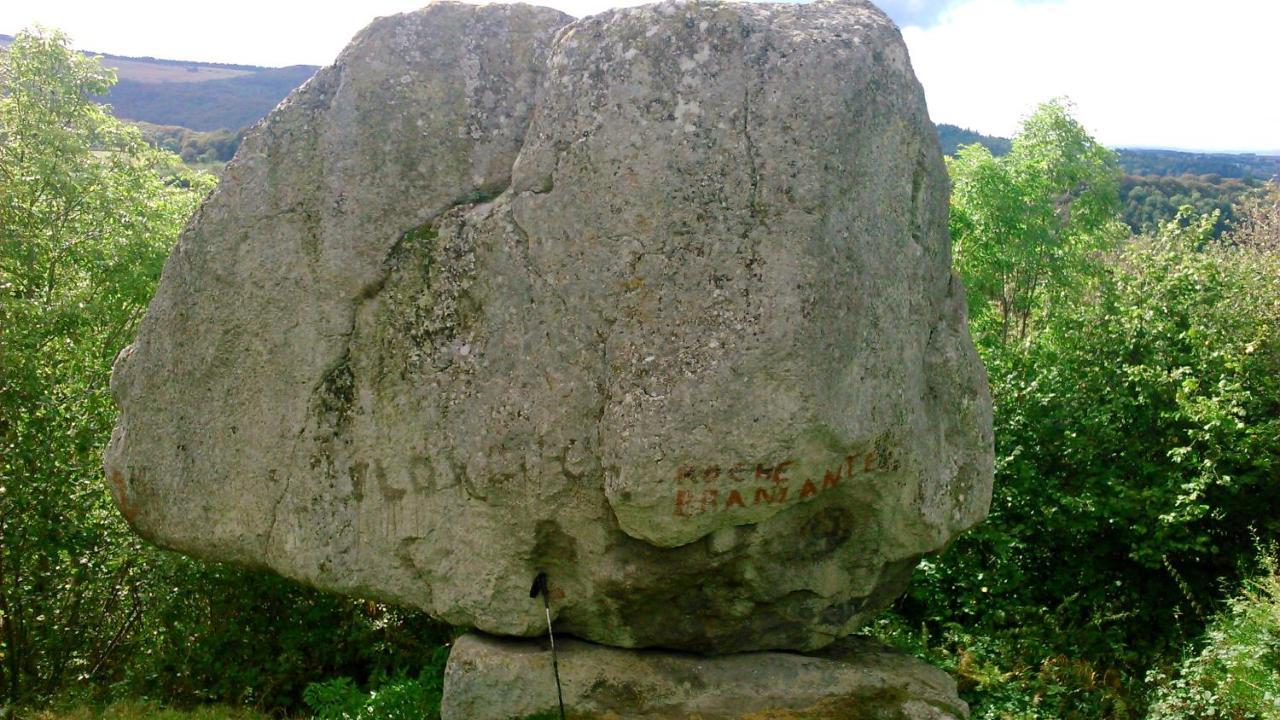 Coquelicot, Entre Volcans D Auvergne Et Sancy, Orcival. エクステリア 写真